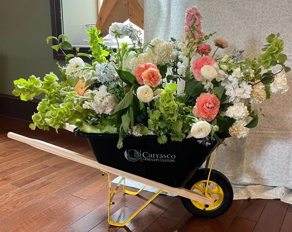 Affordable landscape design for beautiful yards in Nottingham, PA by Carrasco Landscape Solutions