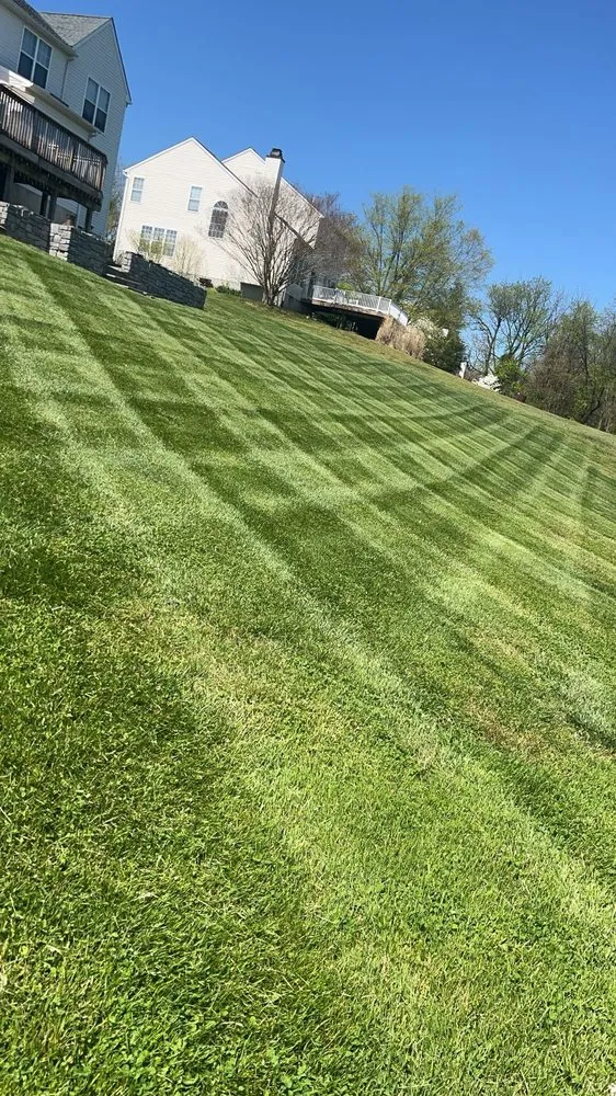 Affordable yard cleanup service for homes across Nottingham, PA - Carrasco Landscape Solutions