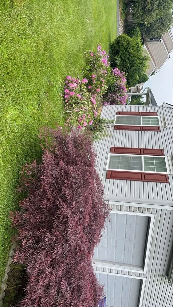 Custom yard cleanup service near you across Nottingham, PA - Carrasco Landscape Solutions