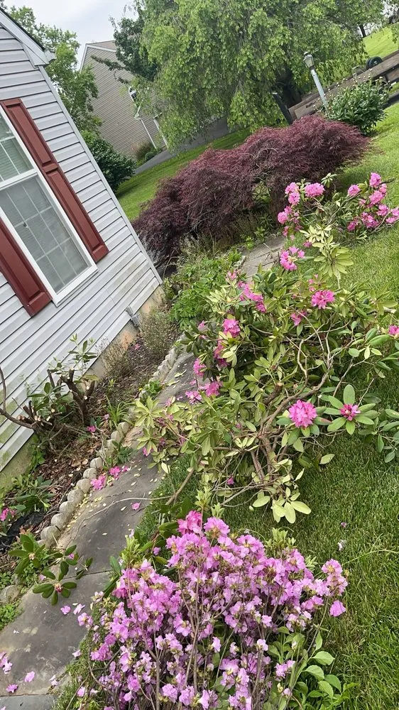 Expert residential landscaping in Nottingham, PA by Carrasco Landscape Solutions