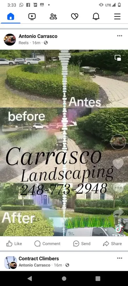 Custom yard cleanup service experts serving Pontiac, MI - Carrasco Landscaping and Tree Service