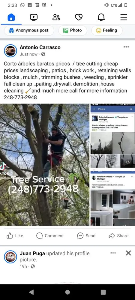 Top-rated landscape design for residential properties across Pontiac, MI - Carrasco Landscaping and Tree Service