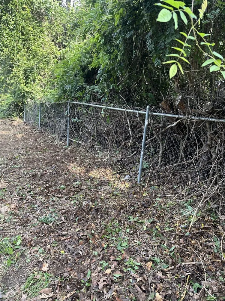 Reliable yard maintenance for outdoor upgrades across Henderson, NC - Carrasco’s Lawn Care