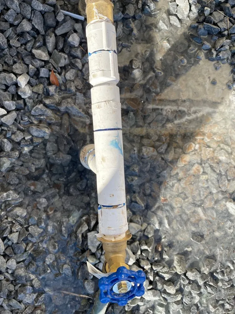 Reliable lawn care service in Sacramento, CA by Carreño Landscape and Meintnance