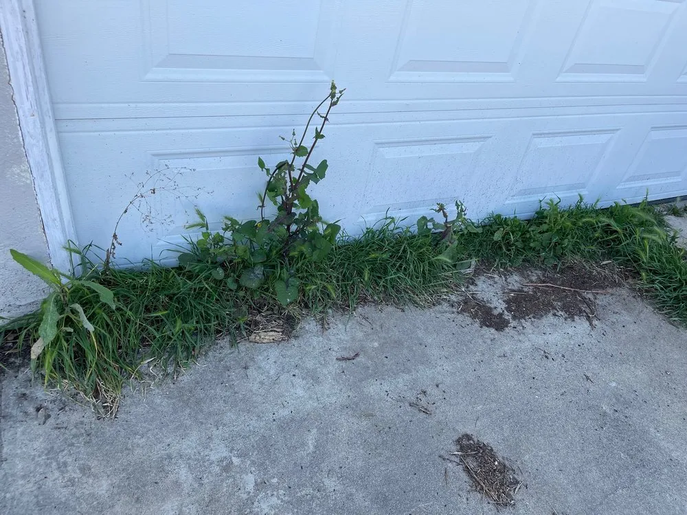 Reliable garden landscaping experts serving Sacramento, CA - Carreño Landscape and Meintnance