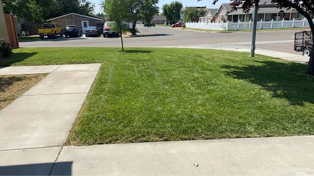 Expert outdoor landscaping near you across Henderson, NV - Carrera Yard Maintenance