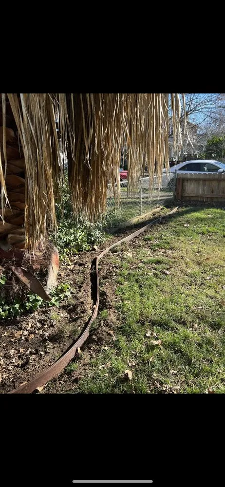 Local outdoor landscaping in Henderson, NV by Carrera Yard Maintenance