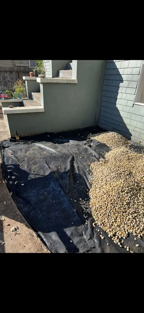 Local residential landscaping near you in Henderson, NV by Carrera Yard Maintenance