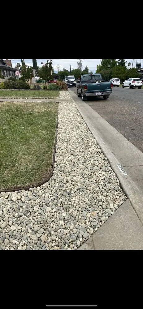 Expert yard cleanup service experts serving Henderson, NV - Carrera Yard Maintenance