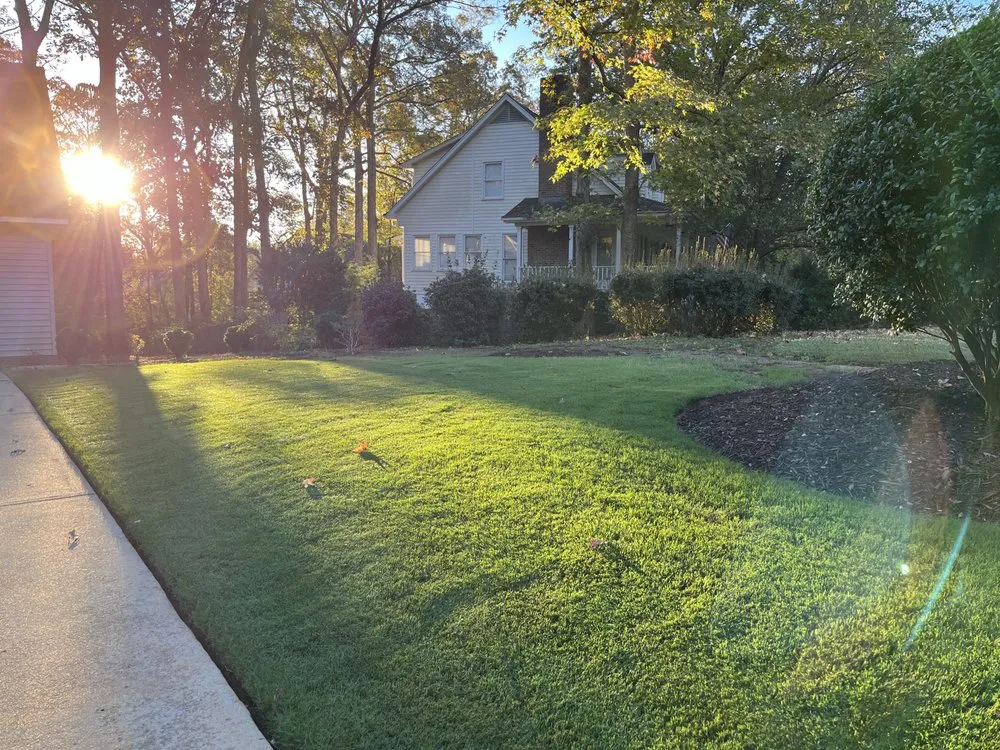 Professional garden landscaping for residential properties in Lexington, SC by Carriage Landscaping