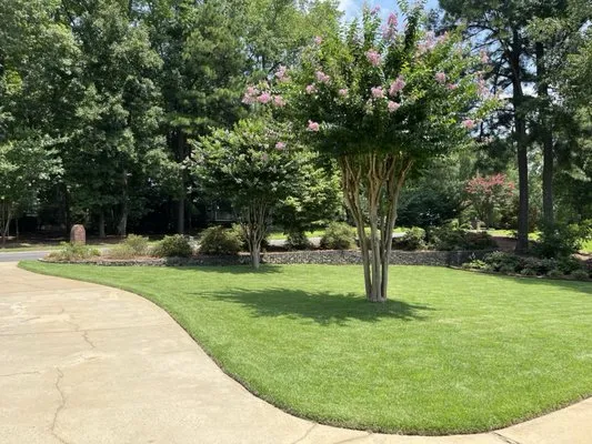 Carriage Landscaping Logo