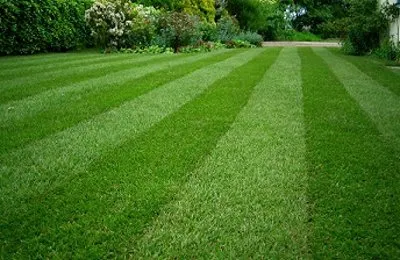 Affordable yard maintenance in Naugatuck, CT by Carriage Landscaping