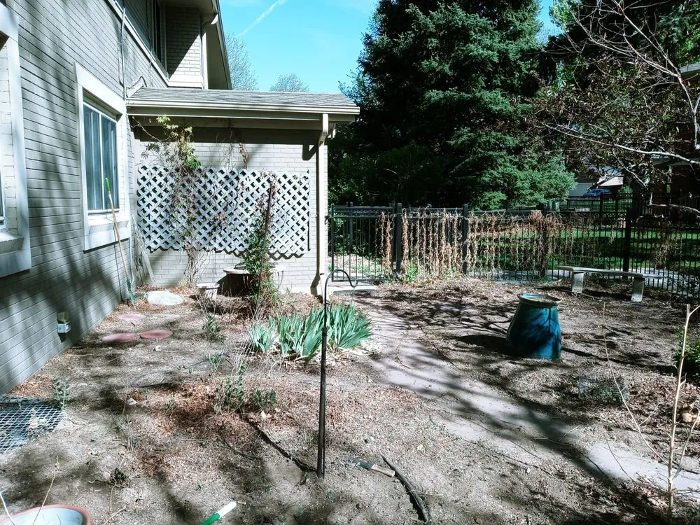 Top-rated landscaping services in Arvada, CO by Carrier construction