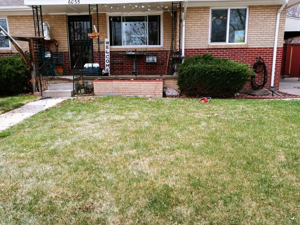 Professional landscaping services in Arvada, CO - Carrier construction