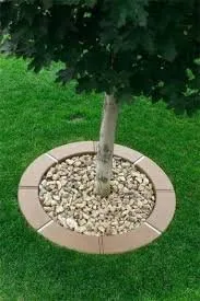 Local landscaping services in Arvada, CO by Carrier construction