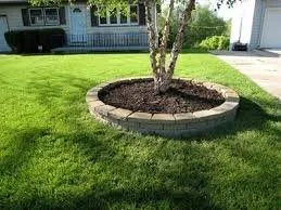 Professional lawn mowing service experts serving Arvada, CO - Carrier construction