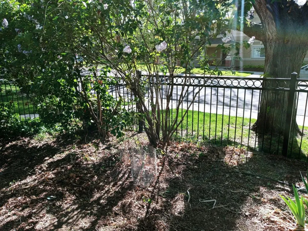 Trusted residential landscaping in Arvada, CO - Carrier construction