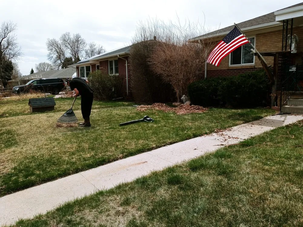 Top-rated lawn care service for year-round maintenance in Arvada, CO by Carrier construction