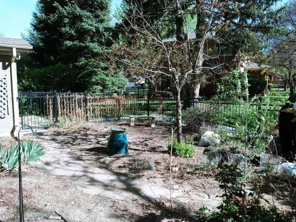 Custom outdoor landscaping in Arvada, CO by Carrier construction