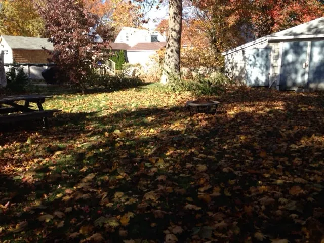 Trusted landscaping services experts serving Groton, CT - Carrier Lawn Care & Landscaping