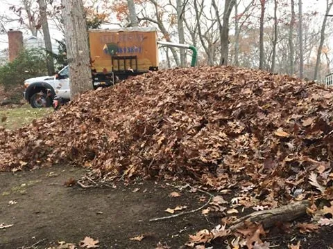 Affordable lawn care service for residential properties across Groton, CT - Carrier Lawn Care & Landscaping