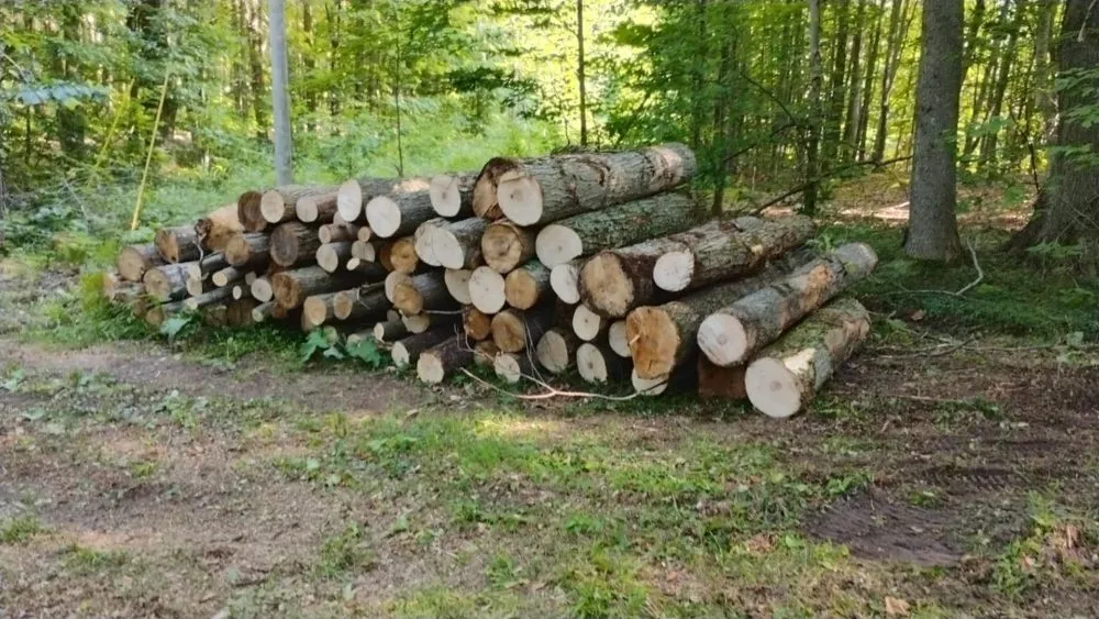 Expert residential landscaping in Beulah, MI by Carrier's Outdoor Maintenance