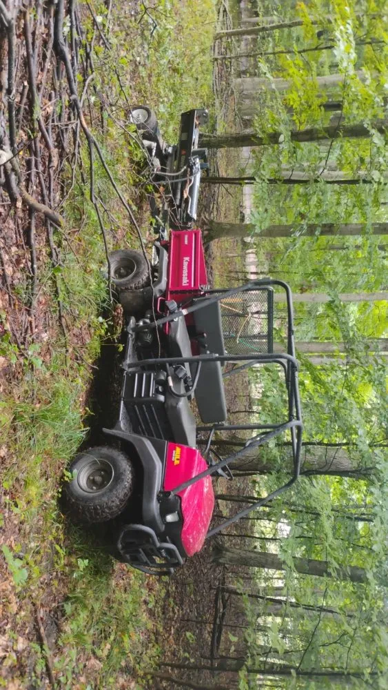Affordable yard maintenance for year-round maintenance across Beulah, MI - Carrier's Outdoor Maintenance