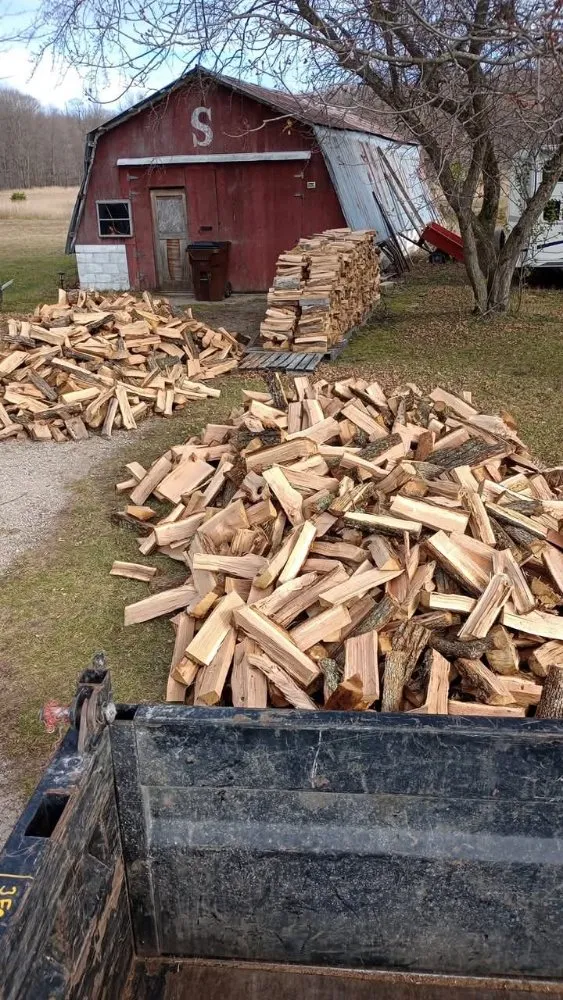 Custom yard cleanup service experts serving Beulah, MI - Carrier's Outdoor Maintenance