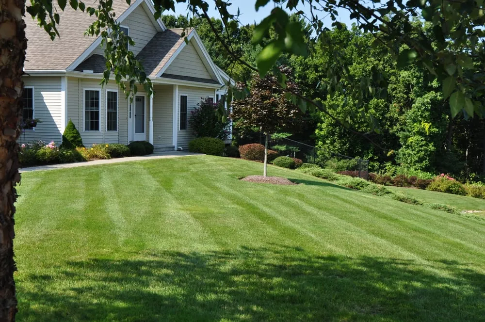 Reliable landscape installation for homes across Acton, MA - Carrier's Turf Pros Lawn Care