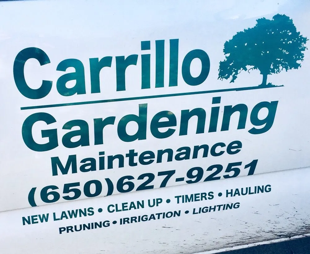 Trusted lawn care service experts serving San Mateo, CA - Carrillo Gardening