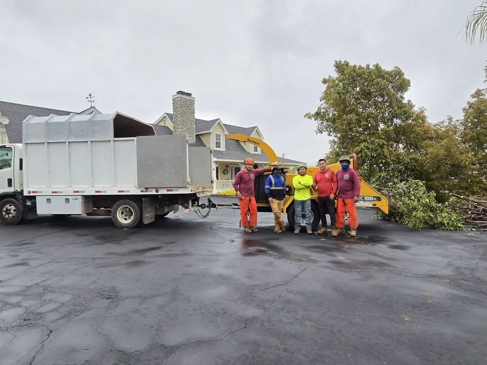 Affordable yard maintenance for year-round maintenance in Encinitas, CA by Carrillo Go Green