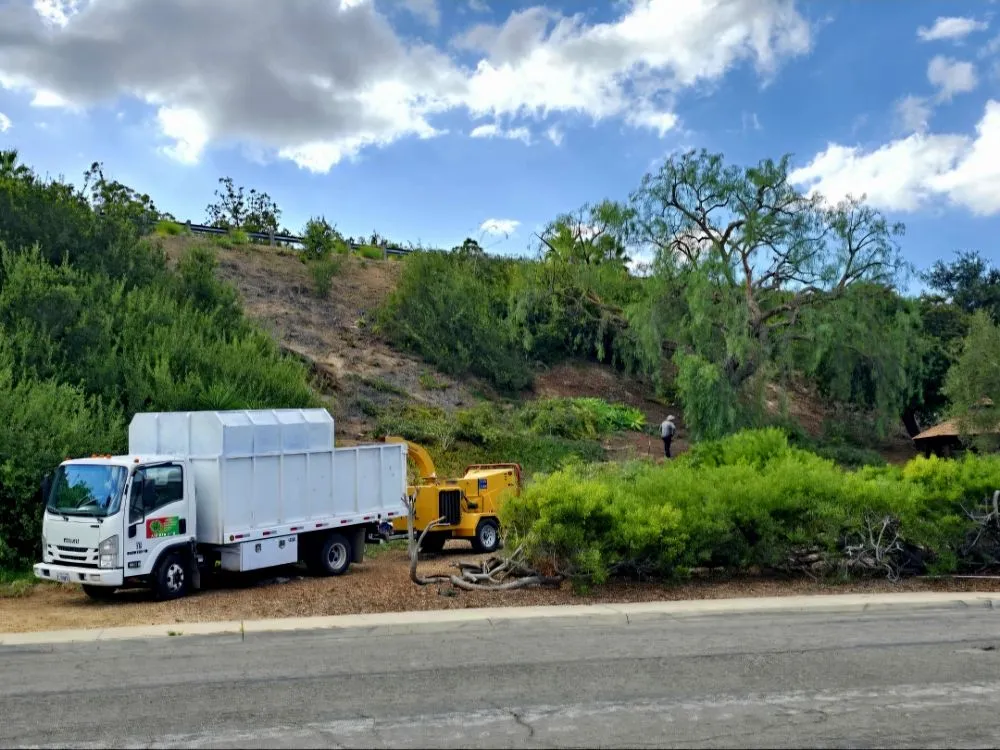 Professional outdoor landscaping experts serving Encinitas, CA - Carrillo Go Green