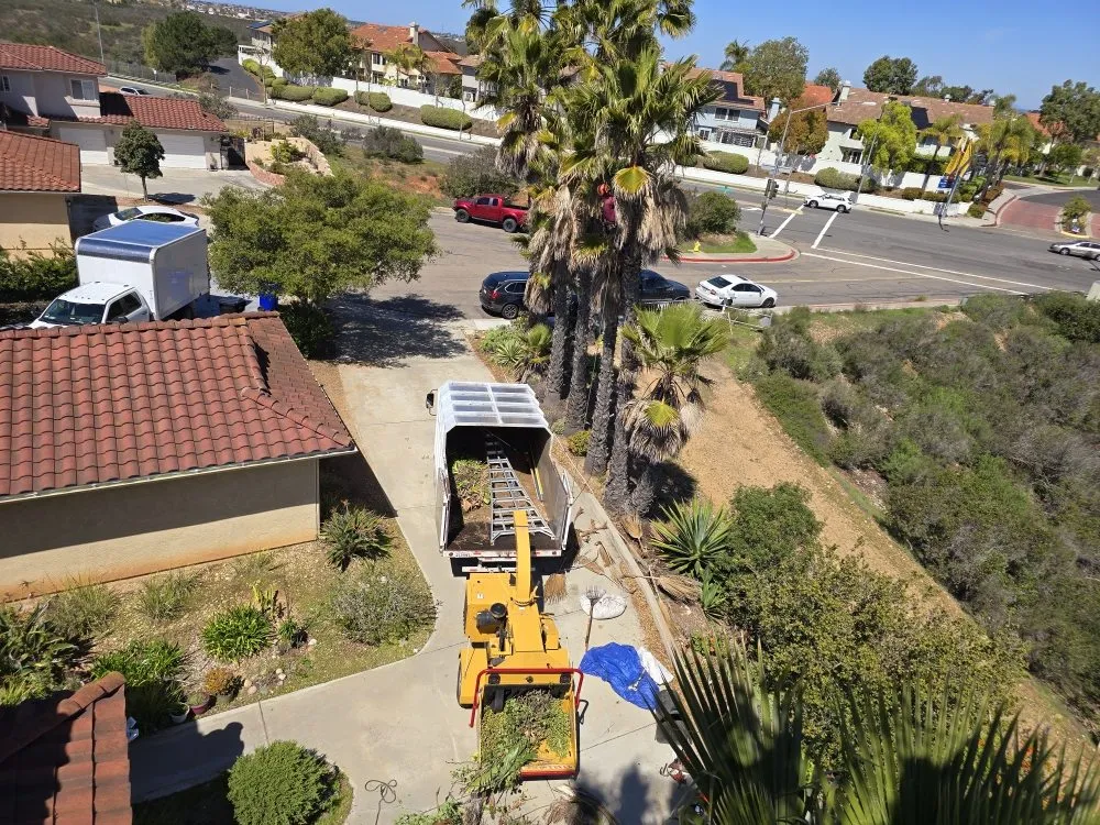 Top-rated landscaping services for outdoor upgrades across Encinitas, CA - Carrillo Go Green