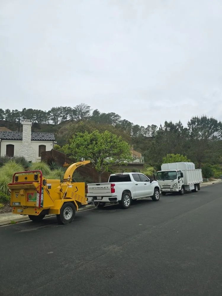Affordable lawn care service in Encinitas, CA by Carrillo Go Green