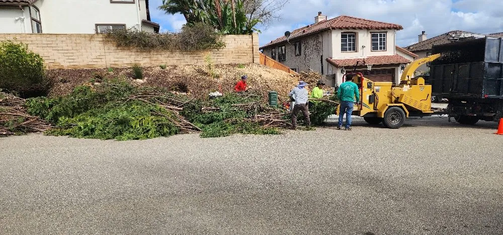 Trusted landscape installation in Encinitas, CA by Carrillo Go Green