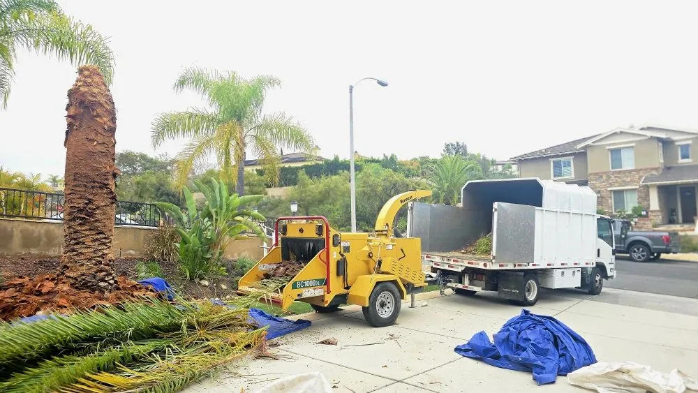 Top-rated landscaping services with custom design in Encinitas, CA by Carrillo Go Green