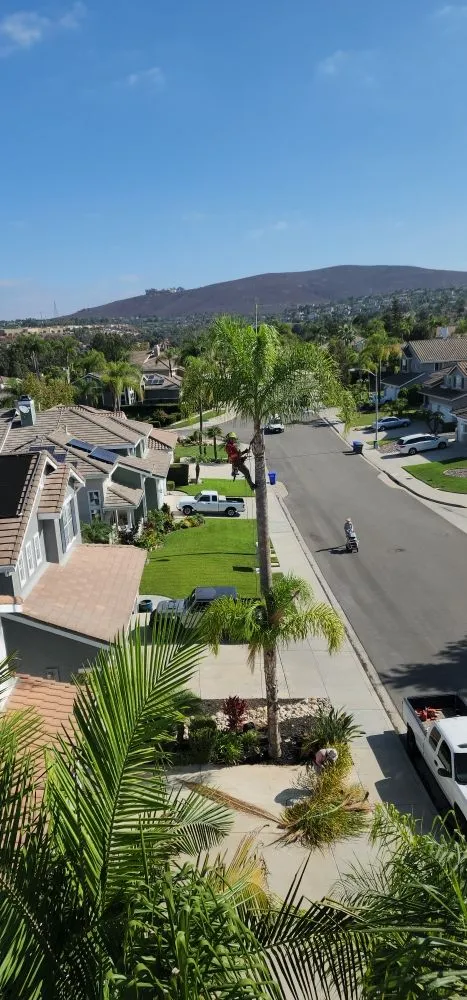 Reliable landscape installation in Encinitas, CA - Carrillo Go Green