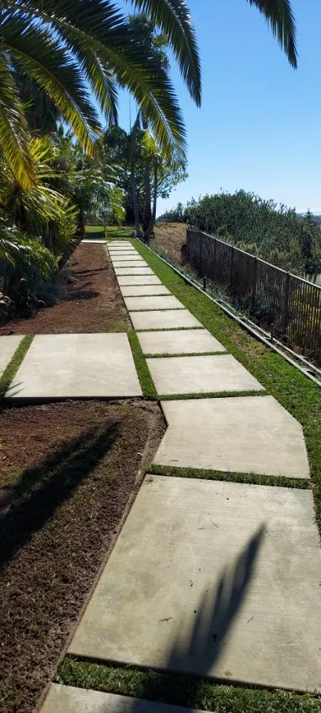 Affordable landscape design in Encinitas, CA by Carrillo Go Green