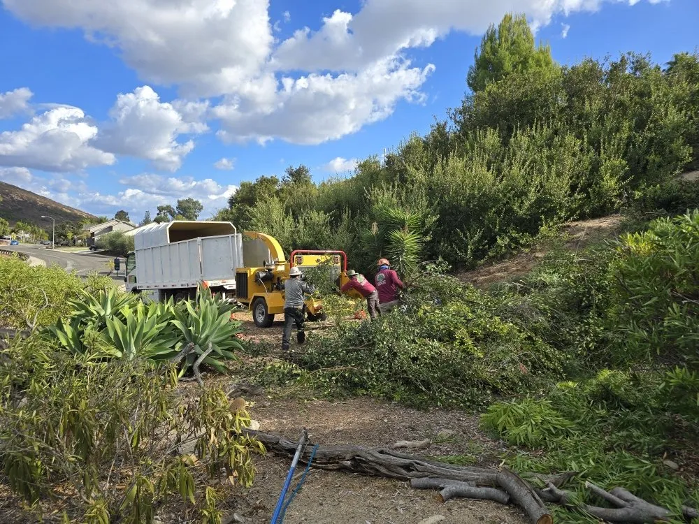Affordable yard maintenance for beautiful yards in Encinitas, CA by Carrillo Go Green