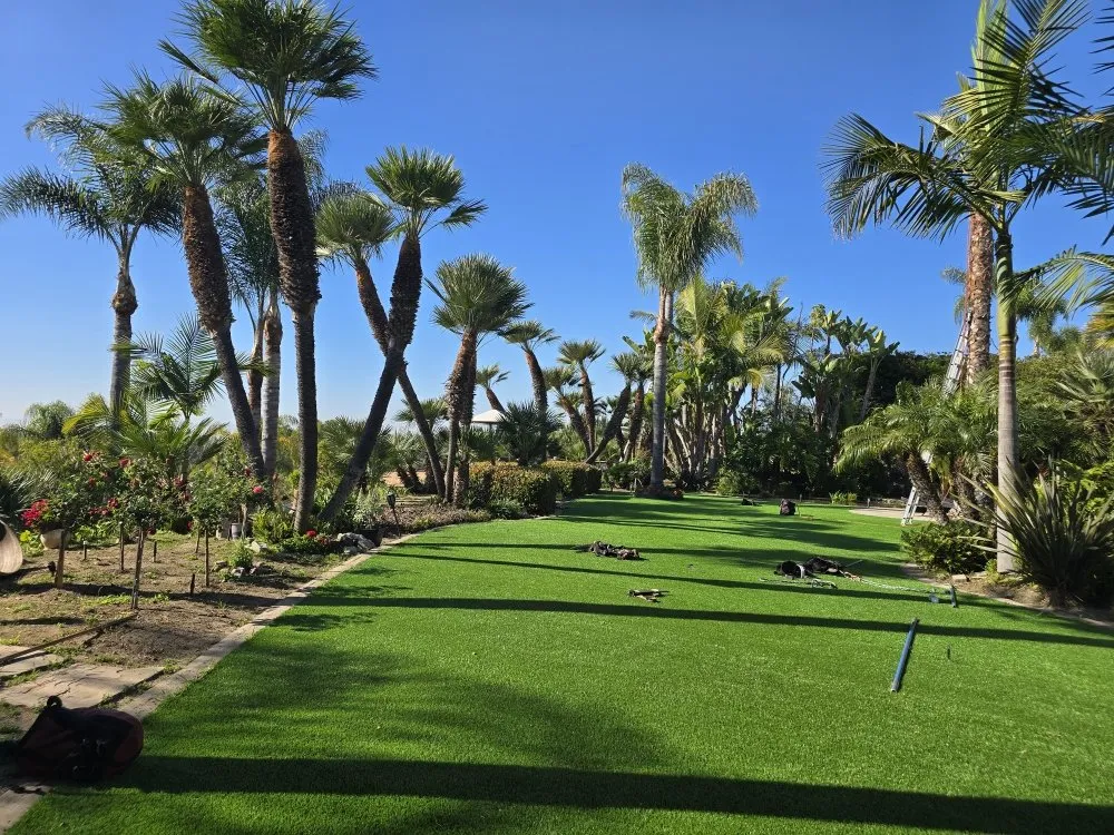 Affordable lawn mowing service experts serving Encinitas, CA - Carrillo Go Green