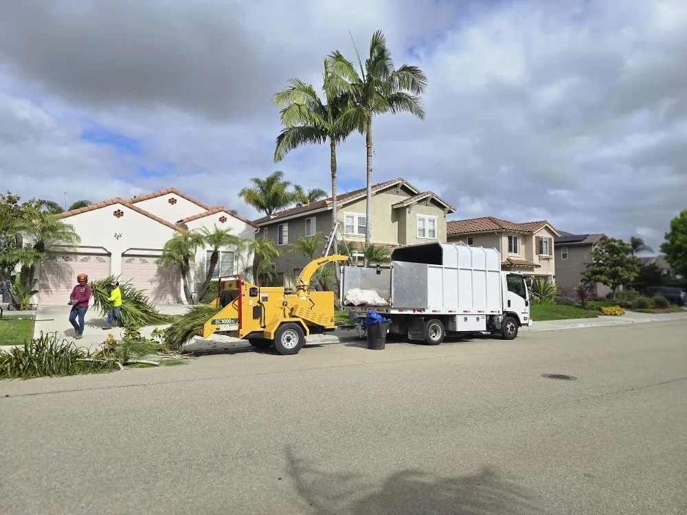 Affordable outdoor landscaping experts serving Encinitas, CA - Carrillo Go Green