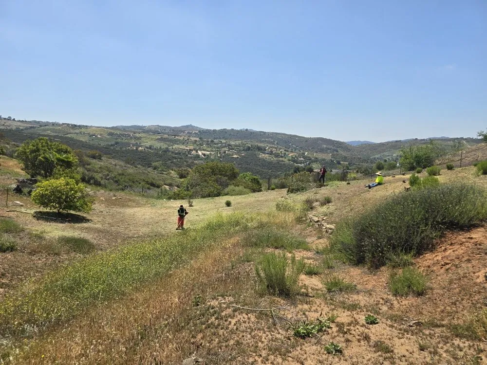 Local garden landscaping experts serving Encinitas, CA - Carrillo Go Green