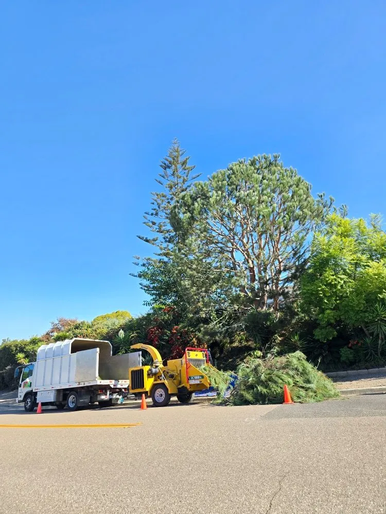 Expert garden landscaping in Encinitas, CA by Carrillo Go Green