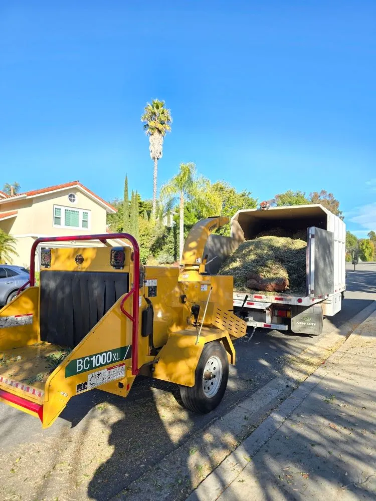 Professional landscape design for homes across Encinitas, CA - Carrillo Go Green