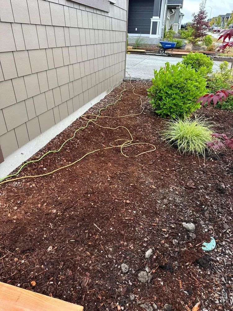 Trusted landscape installation for beautiful yards across Bremerton, WA - Carrillo Landscape