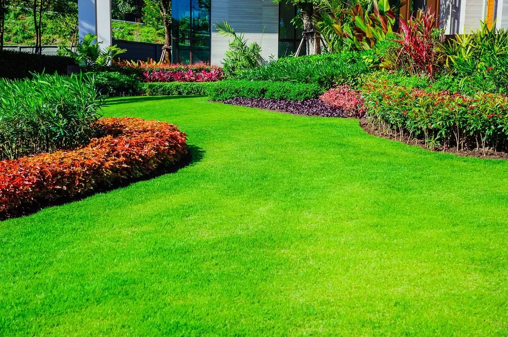 Professional landscape design near you across San Leandro, CA - Carrillo Landscaping