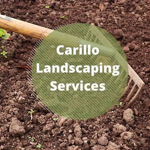 Expert residential landscaping for homes in Pasadena, CA by Carrillo Landscaping Service