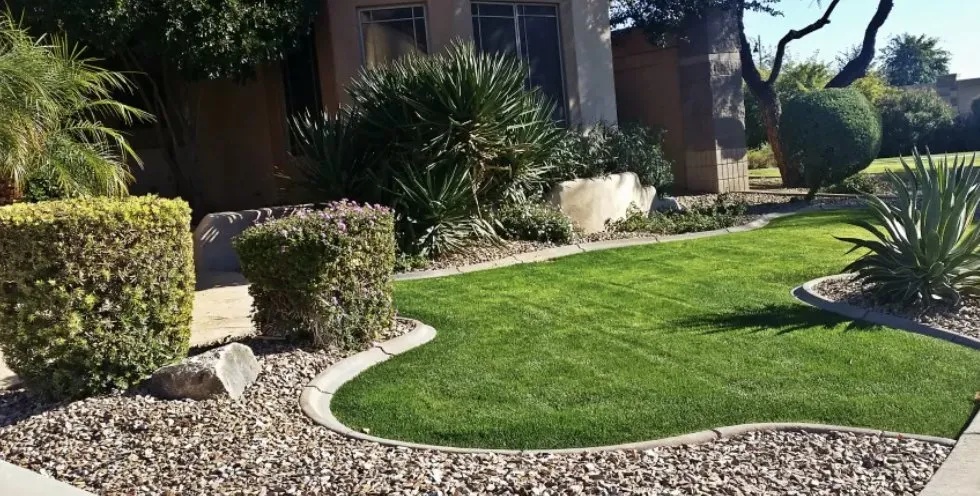Expert lawn care service in Vista, CA by Carrillo Landscaping