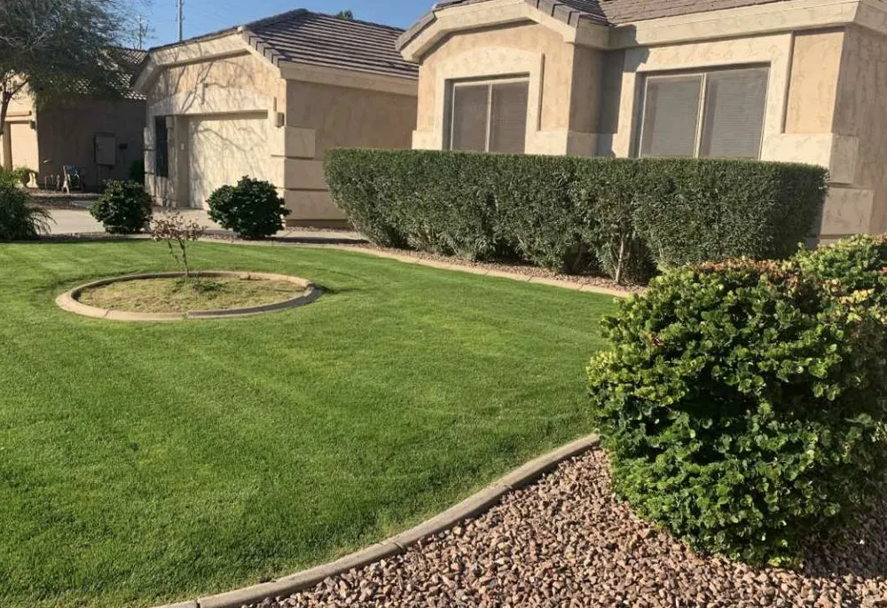 Local lawn mowing service experts serving Vista, CA - Carrillo Landscaping