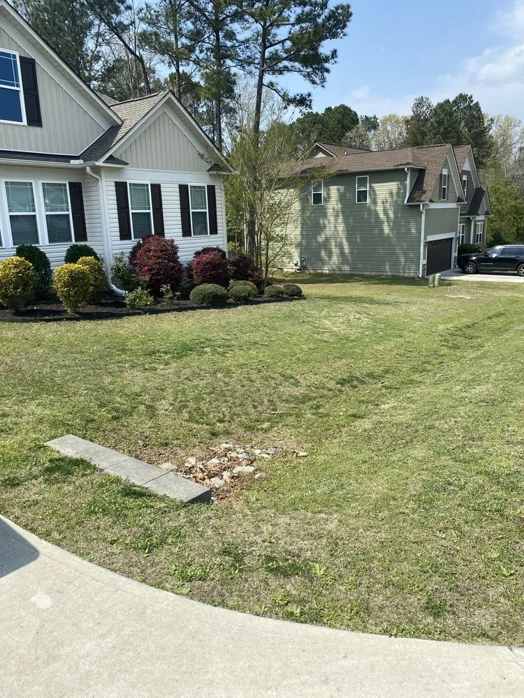 Local landscape design experts serving Clayton, NC - Carrillo Services